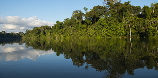 Parque en Perú